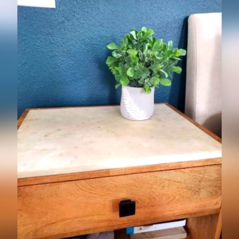Faux Plant